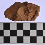 00.30.116I (Projectile Point) image