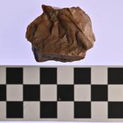 00.30.96AL (Rock Fragment) image
