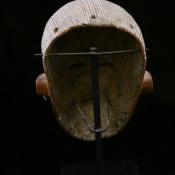 2022-29-5 (Mask) image