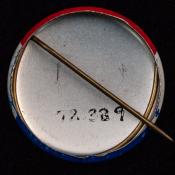 1972.38.9 (Political Pin, Political Button) image