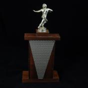 2021-34-6 (Trophy) image