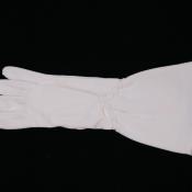 UNIM1991.11.69 (Gloves) image
