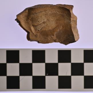00.30.170S (Lithic) image