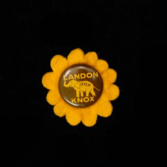 1978.25.53 (Political Pin, Political Button) image