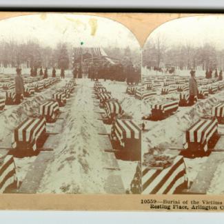 1984.6.183 (Stereograph) image