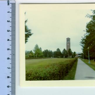 1990.44.50 (Print, photographic) image