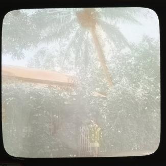 1995.21.530.15 (Lantern Slide, Photograph) image