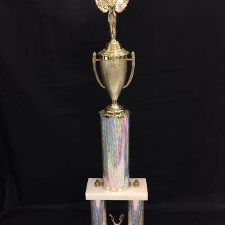 2017-7-13A (Trophy) image