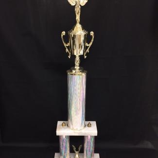 2017-7-16A (Trophy) image
