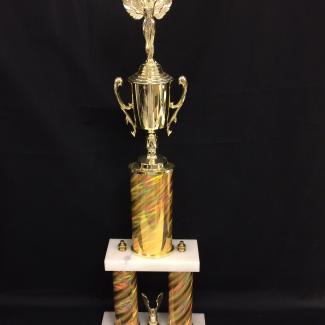 2017-7-20A (Trophy) image