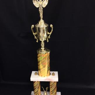 2017-7-21A (Trophy) image