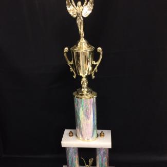 2017-7-22A (Trophy) image