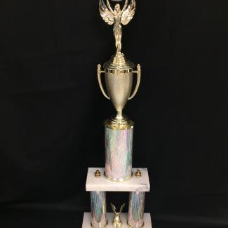 2017-7-23A (Trophy) image