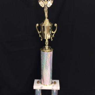 2017-7-24A (Trophy) image
