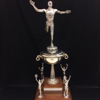 2017-7-35 (Trophy) image