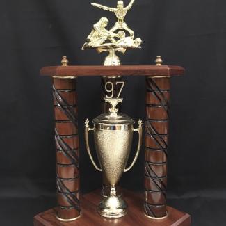 2017-7-36 (Trophy) image