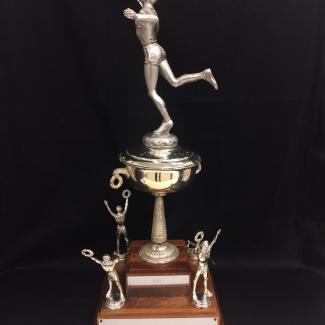 2017-7-48 (Trophy) image