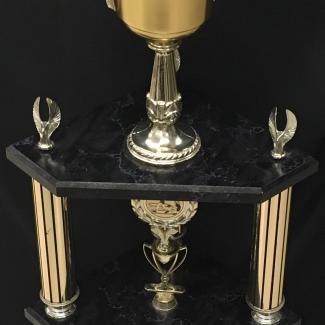 2017-7-72 (Trophy) image