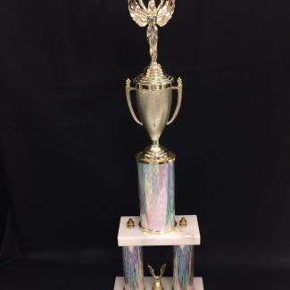 2017-7-7A (Trophy) image