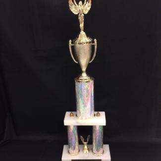 2017-7-8A (Trophy) image