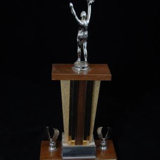 2021-34-2 (Trophy) image