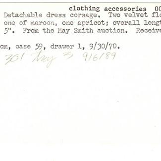 1970.8.4 (Ornament, dress) image