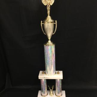 2017-7-11A (Trophy) image