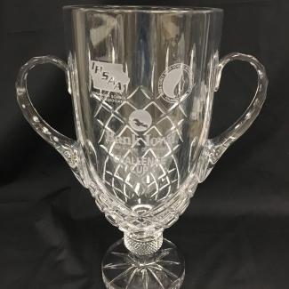 2015-10-66B (Trophy) image