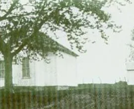 Washington No. 5