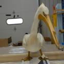 00.26.263.3 (Pelican, white) image