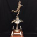 2017-7-34 (Trophy) image