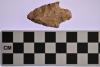 00.30.114E (Projectile Point) image