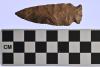 00.30.116F (Lithic) image